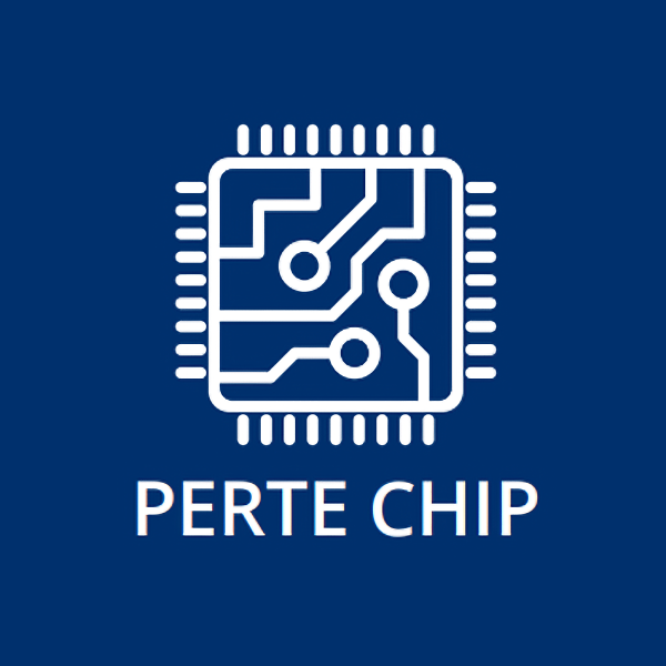 PERTE Chip Logo